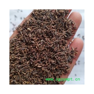 安祁名药中药材驱虫斑鸠菊 除虫菊  白花除虫菊