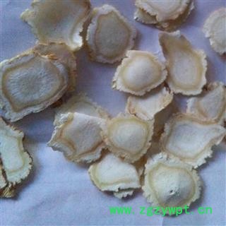 小丽百草行人参 人参片大片 选货1.4厘米以上软质片 产地 吉林省图2