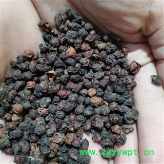 南五味子 南五味子净货 产地 河南省图4