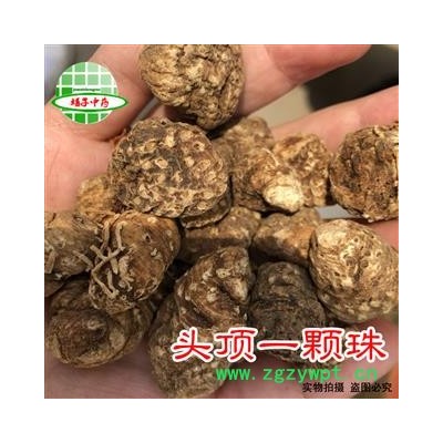 头顶一颗珠 脱毛 头顶一颗珠 头顶珠 头顶珠 产地 吉林省 买好药材找娟子
