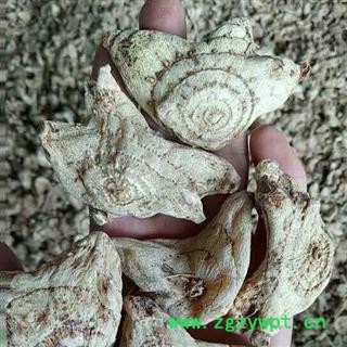 娟子中药 白及 白芨 白鸡 选货 产地 贵州省黔西南布依族苗族自治州图2