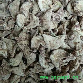 娟子中药 白及 白芨 白鸡 选货 产地 贵州省黔西南布依族苗族自治州图4