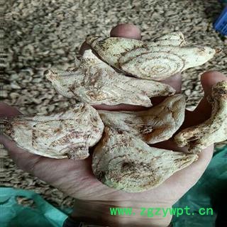 娟子中药 白及 白芨 白鸡 选货 产地 贵州省黔西南布依族苗族自治州图3