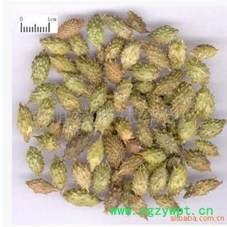 苍耳子 苍耳子中期黄绿色统货 产地 内蒙古自治区图2