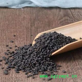 【新货精选】秦岭野生补骨脂 手工采捋日晒无硫500g图2