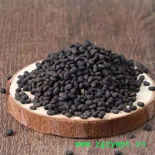 【新货精选】秦岭野生补骨脂 手工采捋日晒无硫500g图3