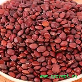 中药材酸枣仁 多个规格 酸枣仁是秋天成熟的酸枣采摘 晒场去皮晾晒 去壳后人工去杂 本品是原生态无添加无污染 纯正自然 质量有保证 安国批发零售大全图3