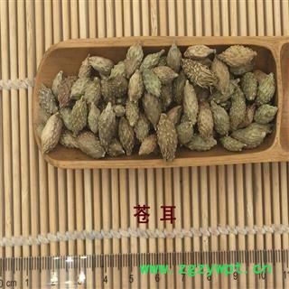 煜庭药业 苍耳子 新货图2