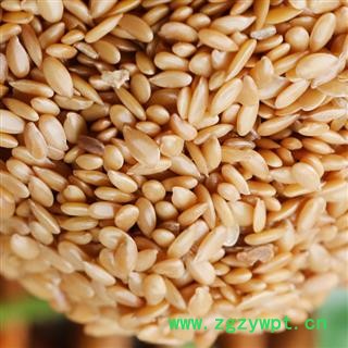 煜庭药业 亚麻子 亚麻籽图3