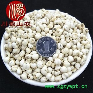 川贝母怀中抱月选货散装四川产地直供松贝母川蜀山农中药材批发图3