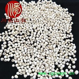 川贝母怀中抱月选货散装四川产地直供松贝母川蜀山农中药材批发图4