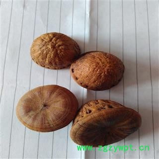 煜庭药业 风流果 厚鳞柯 壮阳果 补肾果 益肾子 马牯 捻碇果 辗垫栗 厚鳞石栎 木栎子 大头椎图2