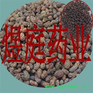 煜庭药业 女贞子 水洗图4