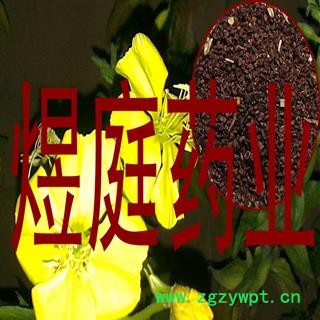 煜庭药业 月见草子 月见草籽 正品图4