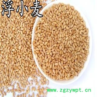 煜庭药业 浮小麦图2