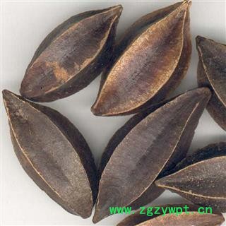 煜庭药业 使君子图2