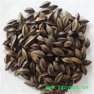 煜庭药业 使君子图3