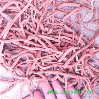 丹参个红丹参紫丹参 山西万荣高含量丹参 产地 山西省运城市万荣县图2