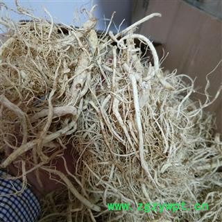 白参人参须生晒参野 山参白参须 产地 吉林省图2