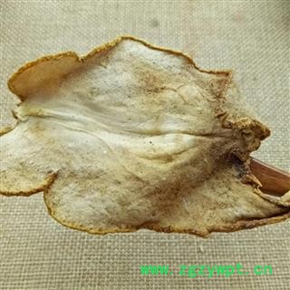 瑞森药材行香橼 枸橼 枸橼子 非减肥果图2