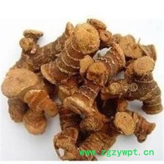 高良姜个 高良姜统个 产地 广西壮族自治区图2