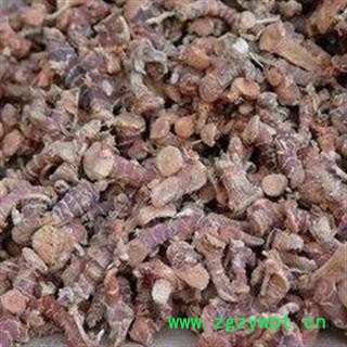 高良姜个 高良姜统个 产地 广西壮族自治区图3