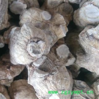 西洋参个 西洋参粒头10-20g 产地 吉林省图2