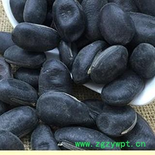 瑞森药材行刀豆 黑刀豆今年新货量大从优图2