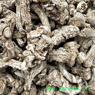 当归个 当归水洗，脱皮，光头大个 产地 甘肃省图2