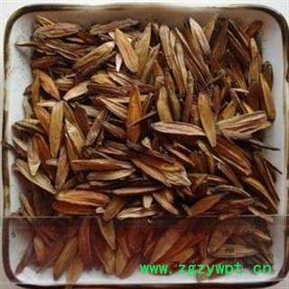 瑞森药材行喜树果  千丈树 水栗子 天梓树图2