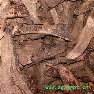 骨碎补片1000克促销批发 统片 产地 云南省图2