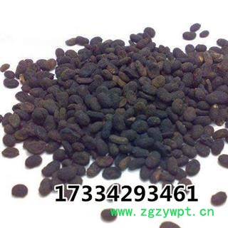 补骨脂  胡韭子 破故纸 黑故子 中药材供应图4