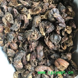 瑞森药材行诃子肉 黑柯子肉（非新疆金柯子 毛诃子难看但药效好）毛柯子图2