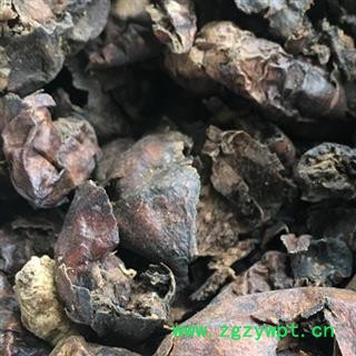 瑞森药材行诃子肉 黑柯子肉（非新疆金柯子 毛诃子难看但药效好）毛柯子图3