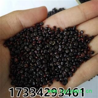 中药材水红花籽 水荭子 荭草实 水红花子 干净无杂图3