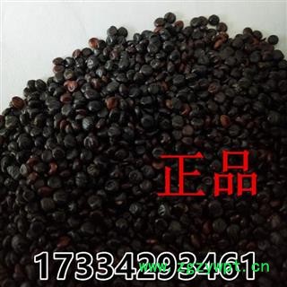 中药材水红花籽 水荭子 荭草实 水红花子 干净无杂图2