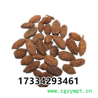 壳砂仁  中药材市场 香砂仁 砂仁 香料 砂仁 进口小豆蔻图4