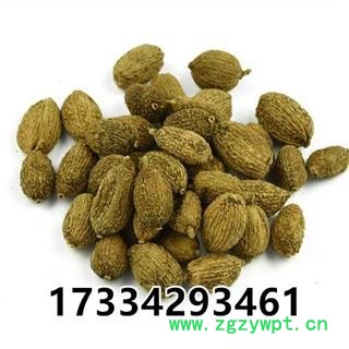 壳砂仁  中药材市场 香砂仁 砂仁 香料 砂仁 进口小豆蔻图2
