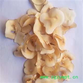 海底椰 海椰子  煲汤图3