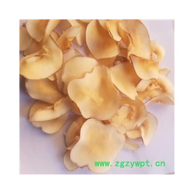 海底椰 海椰子  煲汤