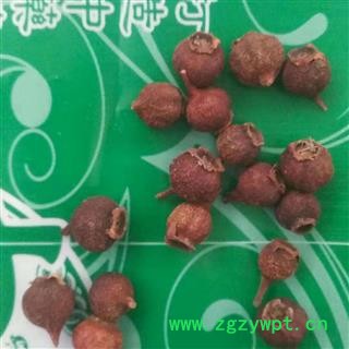 瑞森药材行玫瑰果 刺枚果 刺莓果 刺木果 山刺玫 刺梨子图4