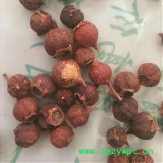 瑞森药材行玫瑰果 刺枚果 刺莓果 刺木果 山刺玫 刺梨子图2