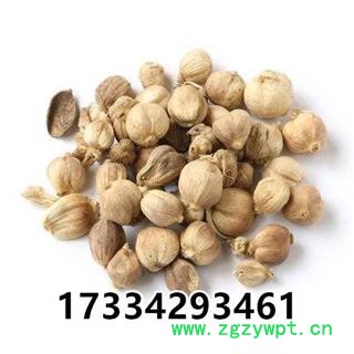 白豆蔻  豆蔻 白豆蔻仁 中药材 壳蔻 白蔻图4