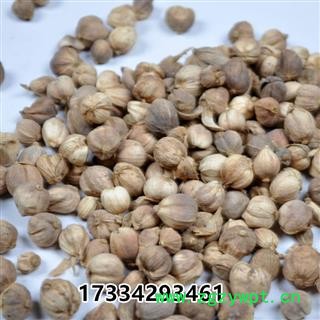 白豆蔻  豆蔻 白豆蔻仁 中药材 壳蔻 白蔻图2