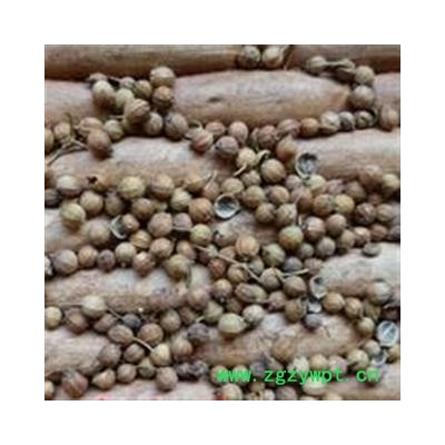 诺源药材行中药材芫荽籽 胡荽子香籽 香料调料