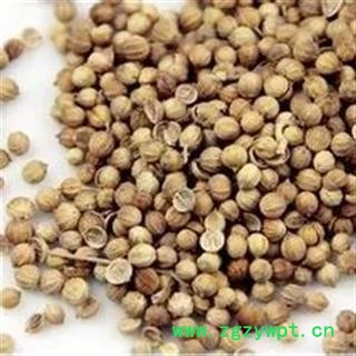 诺源药材行中药材芫荽籽 胡荽子香籽 香料调料图3