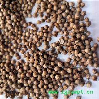 诺源药材行中药材芫荽籽 胡荽子香籽 香料调料图2
