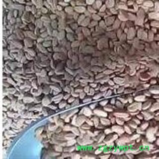 诺源药材行中药材山楂 山楂籽 另有山楂圈图2