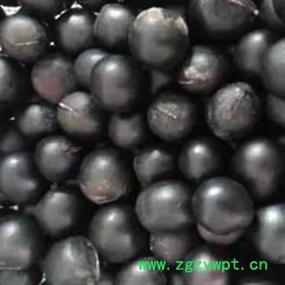 诺源药材行中药材无患子 无患子仁图3