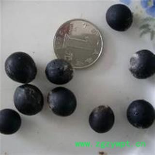 诺源药材行中药材无患子 无患子仁图2